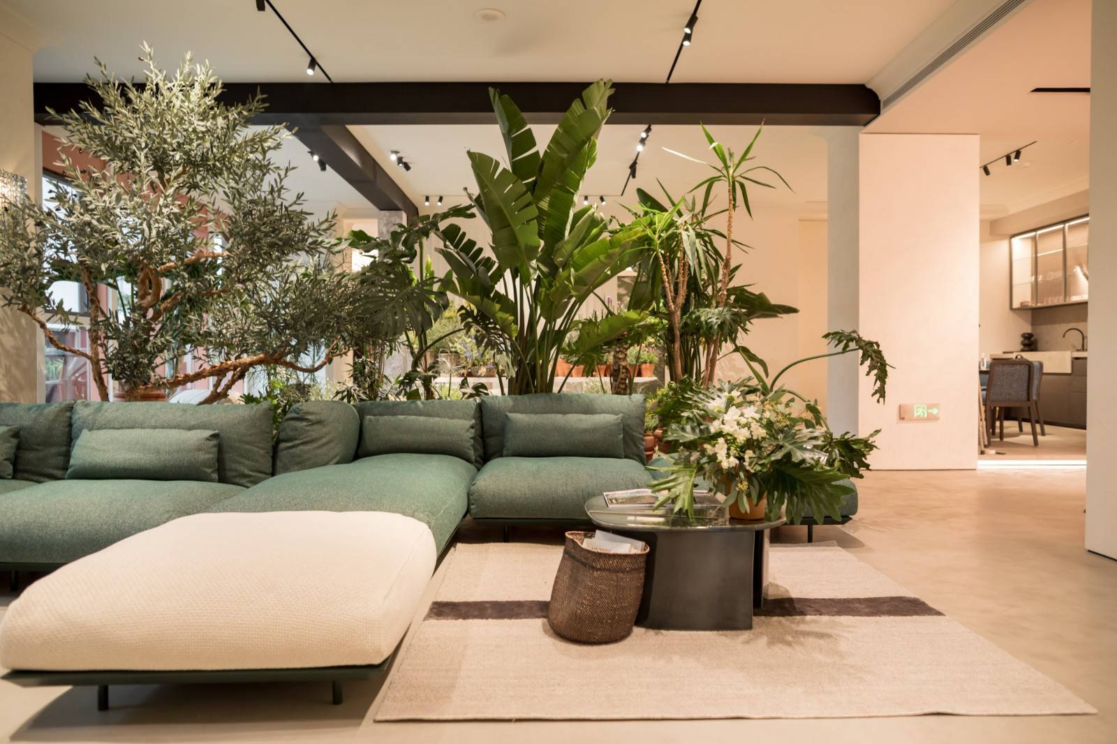 Baxter春日绿洲  (11).JPG